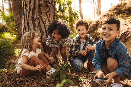 iStock-1148825373 (1)