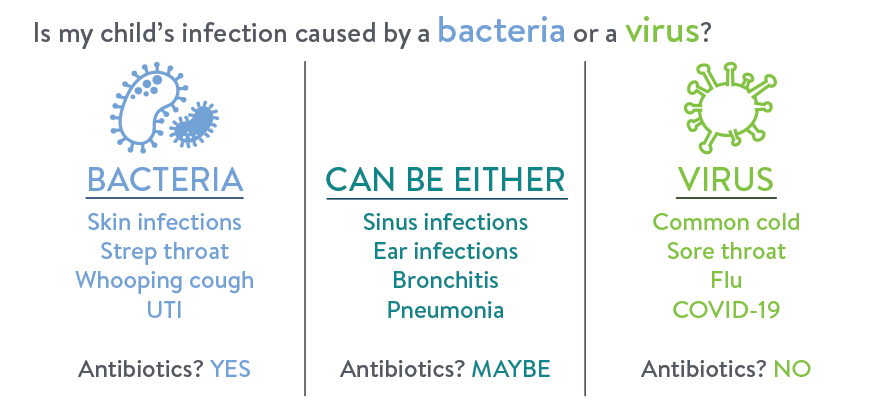 antibiotics2.png