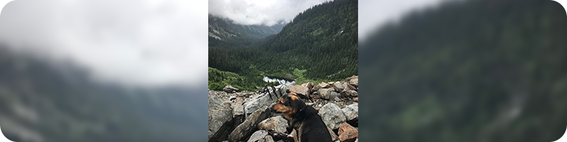 hike.png